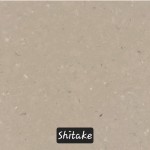 Shitake