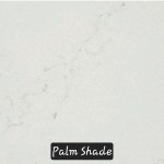 Palm Shade
